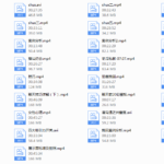 2017年冬瓜私教