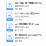2017年麦子私教（新版）