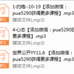 世界精品私教音频