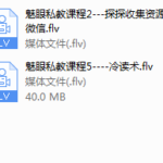 魅眼私教课程（完结）
