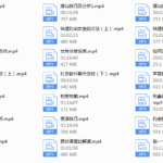2018年陈大力《现场游戏大师1.0》