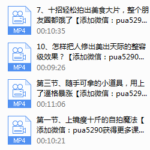 多啦C梦：丢掉单反，用手机拍大片