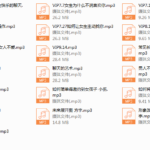 2018年Feeling情感学院《高级VIP网络课程》