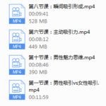 【瑞恩自然吸引】10节高级课
