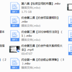 梵公子《约会加速器》