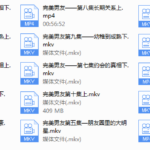 完美男友VIP会员——梵公子