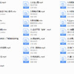 朱利安pimp中文翻译