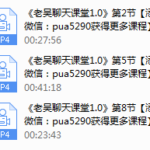 老吴聊天艺术课堂1.0