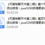 PUANEY可复制聊天课