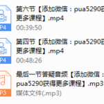 PUANEY靓男《心机套路1.0》