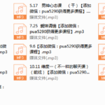 2017年《迷宫导师私教》