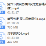 男哥内核-只手遮天1.0