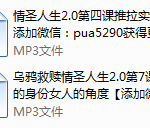 乌鸦救赎-情圣人生2.0