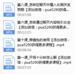 2017年痴情叔《聊天恋爱教程》