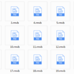 七烟小狗现场分享会1-21