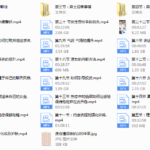 迪诺情感《2020情受私教课》