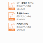浪迹蓉城计划完整线下录音