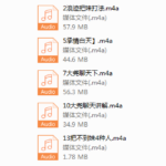 浪迹最新蓉城计划完整线下录音