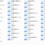 乐福哥《老佟私教》