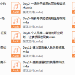 Chic颠覆认知的职场快速进化论。