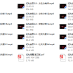 红丸会员3.0Plus（更新中）