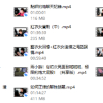 浪迹《实战聊天回访视频》