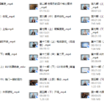 朱丽安《pimp》皮条客中文版