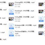 瑞恩《高分洋妞》