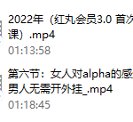 红丸会员3.0plus