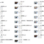 朱利安《PIMP》皮条客中文版《最新完整版》