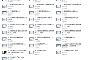 重开计划（大橙2.0）