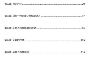 坏男人模式（电子版）