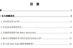 《阿尔法之路》