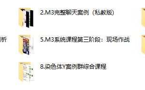 染色体 黑猫《终身制M3系统私教内部课程》