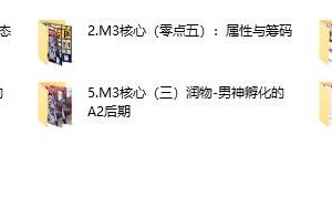 染色体《谜男M3核心课程》附案例