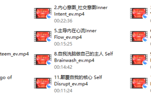 瑞恩《引燃雄心》