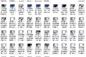 爱上情感：恋爱方法（VIP课程 ）