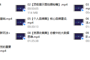 2022男哥内核3.0- 恋爱情商提升 初级课程