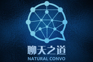 良叔《聊天之道》大师版