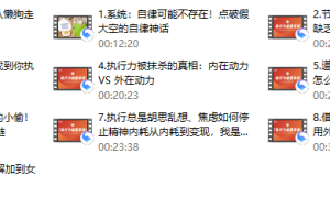 社交光谱莱特Light《执行力能量系统》无尽的执行和自律能量