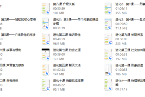 偷先生《进化》