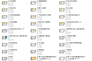 麦子《脱单实战VIP课》