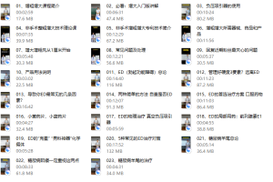 韩教授增粗增大入门版20天训练套餐（最新）