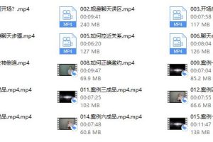 艾伦聊天方法《傻瓜聊天课》