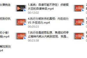 莱特《执行力能量系统》无尽的执行和自律能量