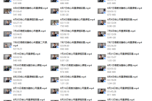 【易筋洗髓】易筋洗髓核心课