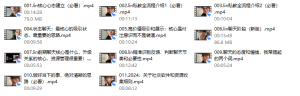 林老头2024私教课（新版）