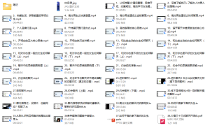 重开计划（大橙2.0）2499