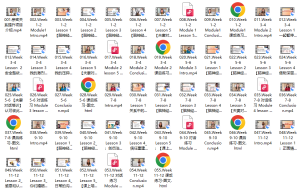 婚姻经营+创伤治愈私教项目